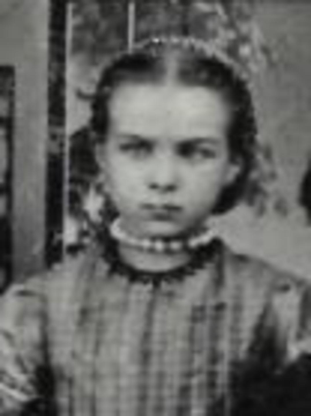 Ellen Jane Hayball (1856 - 1937) Profile
